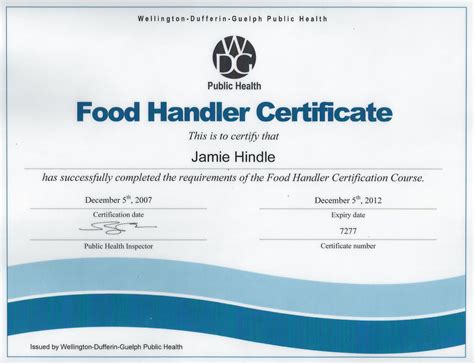 on the fly tabc and food handlers|TABC and Food Handler Certification Online